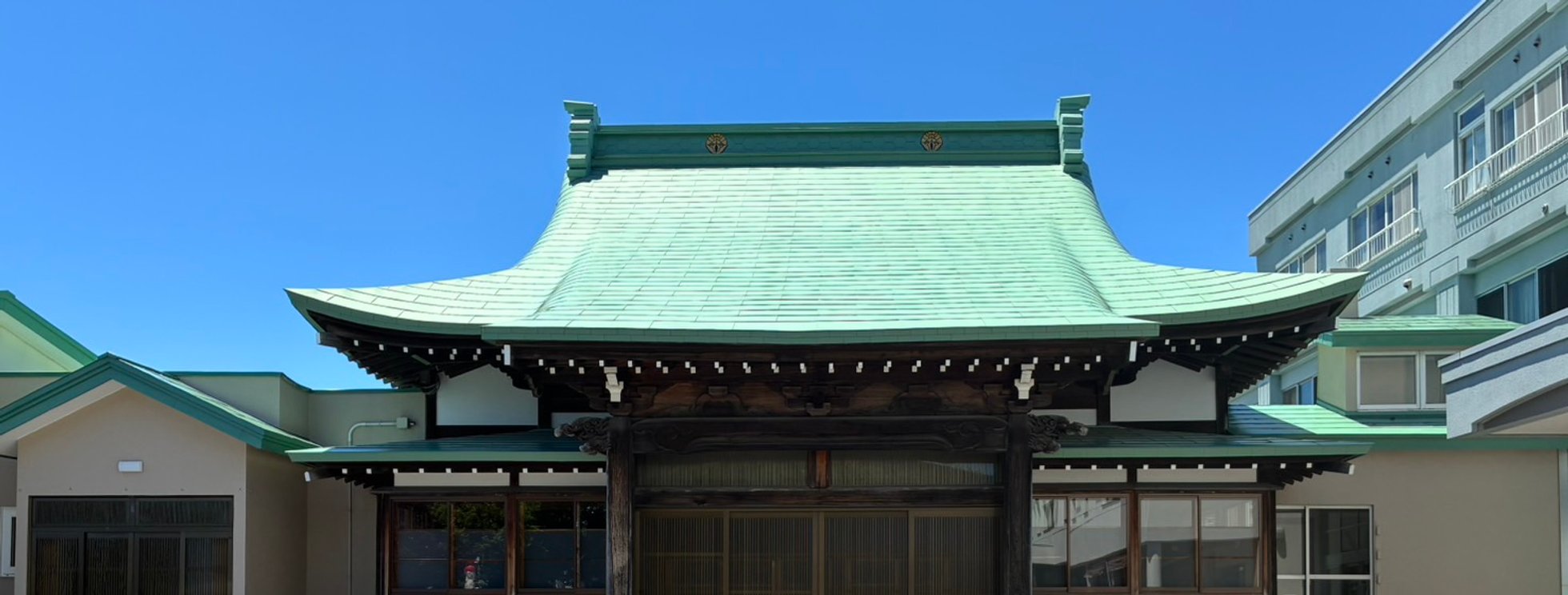 長昌寺春桜